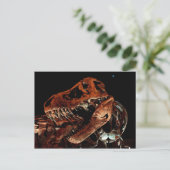 Houston Museum of Natural Science Briefkaart (Staand voorkant)