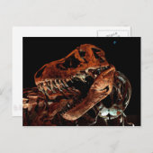 Houston Museum of Natural Science Briefkaart (Voorkant / Achterkant)