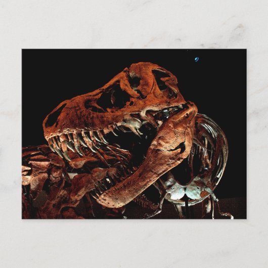 Houston Museum of Natural Science Briefkaart (Voorkant)