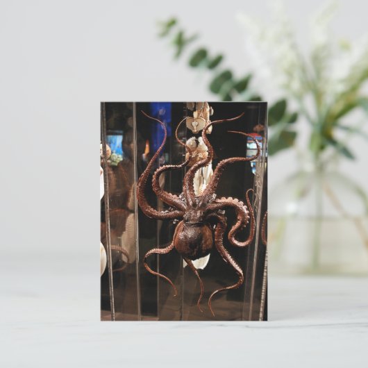 Houston Museum of Natural Science Postcard Briefkaart (Staand voorkant)