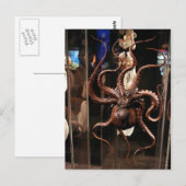 Houston Museum of Natural Science Postcard Briefkaart (Voorkant / Achterkant)