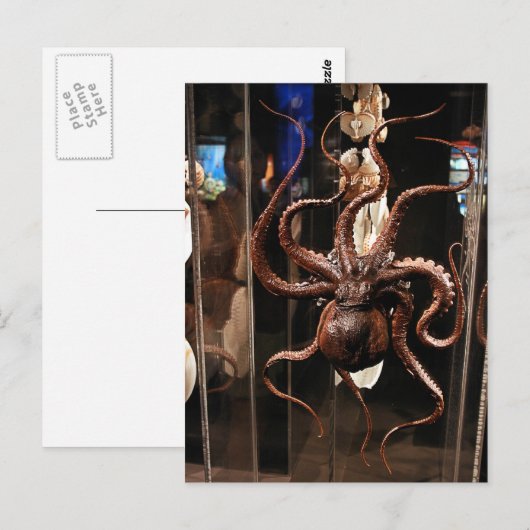 Houston Museum of Natural Science Postcard Briefkaart (Voorkant / Achterkant)