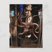 Houston Museum of Natural Science Postcard Briefkaart (Voorkant)