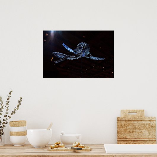 Houston Museum of Natural Science Poster (Keuken)