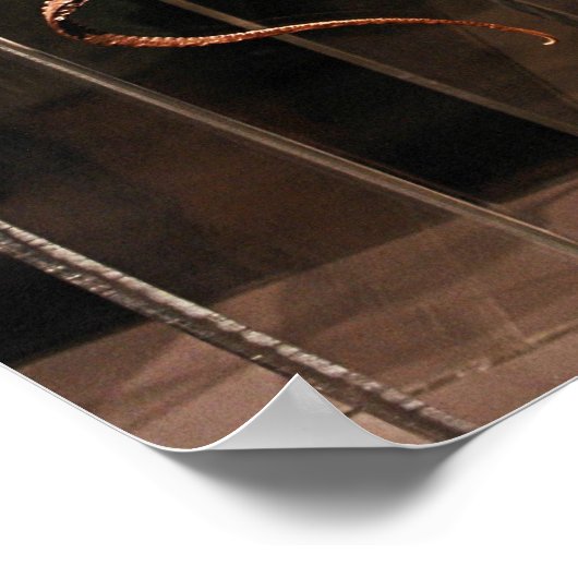 Houston Museum of Natural Science Poster (Hoek)