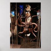 Houston Museum of Natural Science Poster (Voorkant)