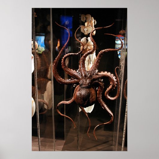 Houston Museum of Natural Science Poster (Voorkant)