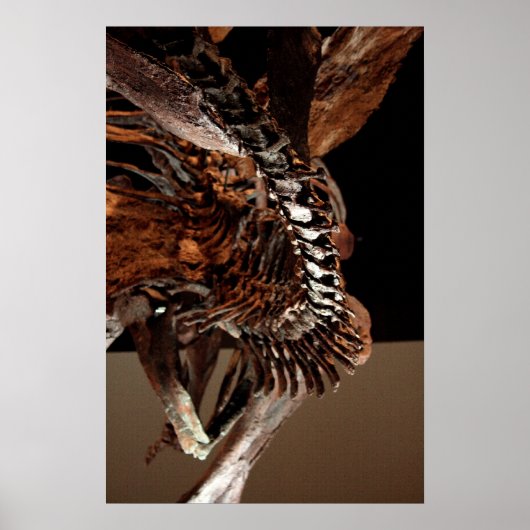 Houston Museum of Natural Science Poster (Voorkant)