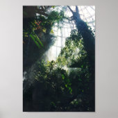 Houston Museum voor Wetenschap en Natuur Poster (Voorkant)