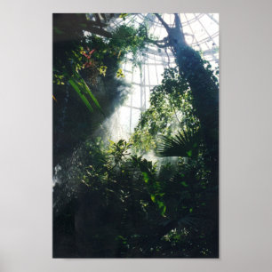 Houston Museum voor Wetenschap en Natuur Poster