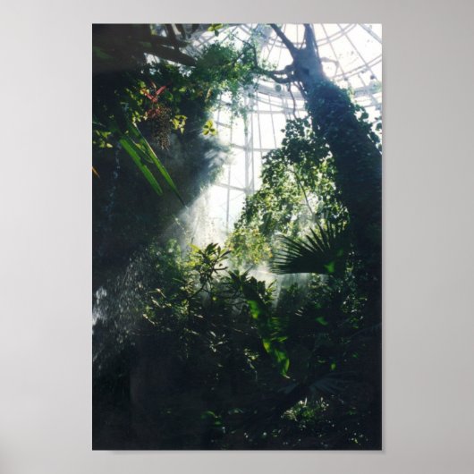 Houston Museum voor Wetenschap en Natuur Poster (Voorkant)