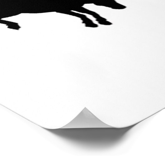 Houston Pics Poster (Hoek)