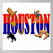 Houston Pics Poster (Voorkant)