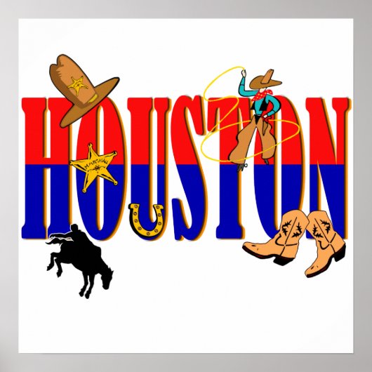 Houston Pics Poster (Voorkant)
