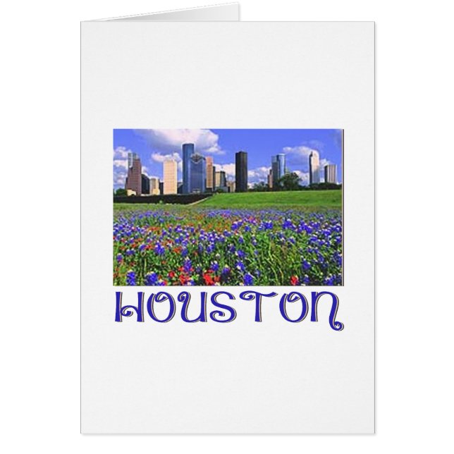 Houston Texas Bluebonnets (Voorkant)