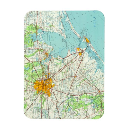 Houston Texas briefkaart Magneet (Verticaal)