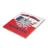 Houston Texas Pools Amerikaans Tegeltje (Zijkant)
