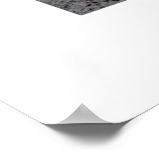 Houston We vonden hem Poster (Hoek)