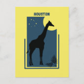 Houston Zoo  Giraffe Briefkaart (Voorkant)
