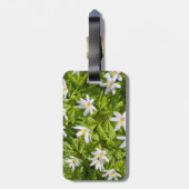 Hout Anemone Bagagelabel (Achterkant verticaal)