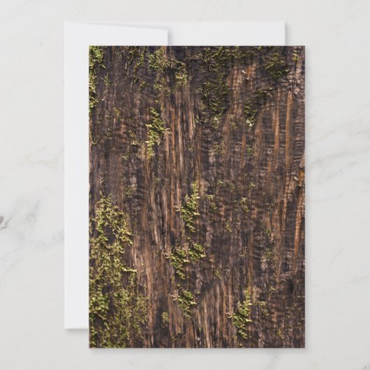 Hout Bark Baby Breath Heart Rustic Wedding Save The Date (Achterkant)