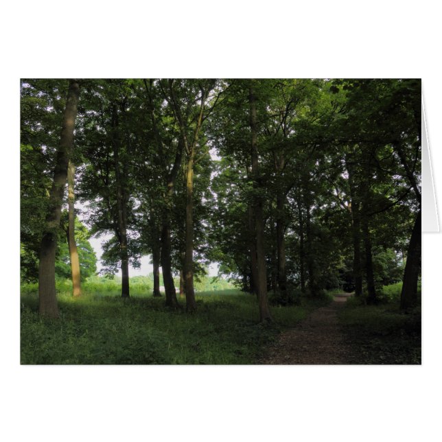 Hout, Bute Park Cardiff (Voorkant Horizontaal)