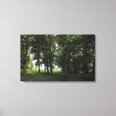 Hout, Bute Park Cardiff Canvas Afdruk (Voorkant)