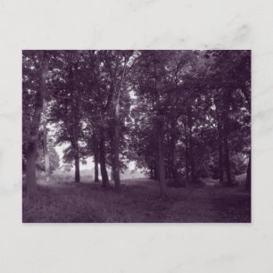 Hout, Bute Park Cardiff - Paarse toned Briefkaart