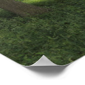 Hout, Bute Park Cardiff Poster (Hoek)