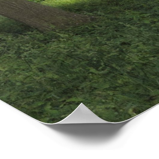 Hout, Bute Park Cardiff Poster (Hoek)