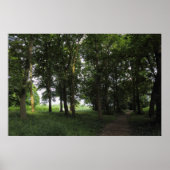 Hout, Bute Park Cardiff Poster (Voorkant)