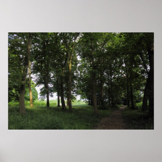 Hout, Bute Park Cardiff Poster (Voorkant)