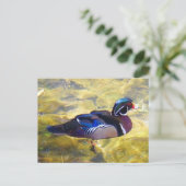 Hout Duck #1-2 Briefkaart (Staand voorkant)