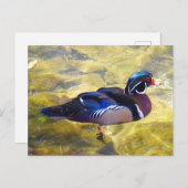 Hout Duck #1-2 Briefkaart (Voorkant / Achterkant)