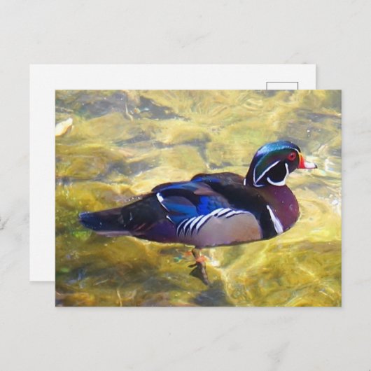 Hout Duck #1-2 Briefkaart (Voorkant / Achterkant)