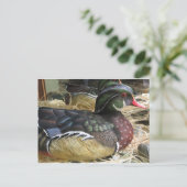 Hout Duck Carving Briefkaart (Staand voorkant)