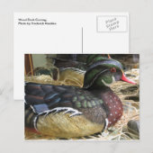 Hout Duck Carving Briefkaart (Voorkant / Achterkant)
