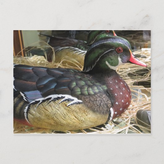 Hout Duck Carving Briefkaart (Voorkant)