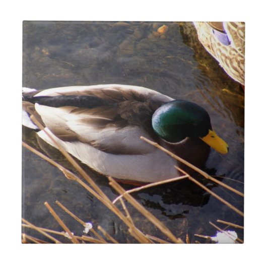 Hout Duck Ceramic Tegel Tegeltje (Voorkant)