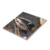 Hout Duck Ceramic Tegel Tegeltje (Zijkant)