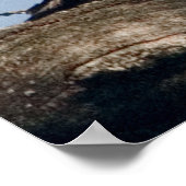 Hout Duck drager in eiken Poster (Hoek)