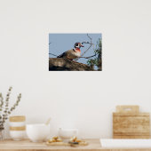 Hout Duck drager in eiken Poster (Keuken)