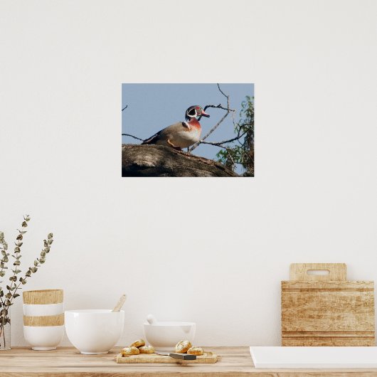 Hout Duck drager in eiken Poster (Keuken)