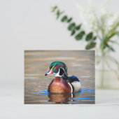 Hout Duck in een vijver Briefkaart (Staand voorkant)