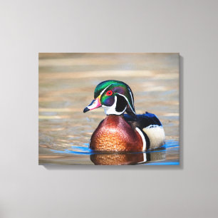 Hout Duck in een vijver Canvas Afdruk