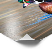 Hout Duck in een vijver Foto Afdruk (Hoek)