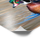 Hout Duck in een vijver Foto Afdruk (Hoek)