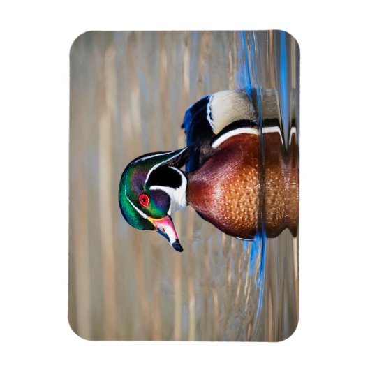 Hout Duck in een vijver Magneet (Verticaal)