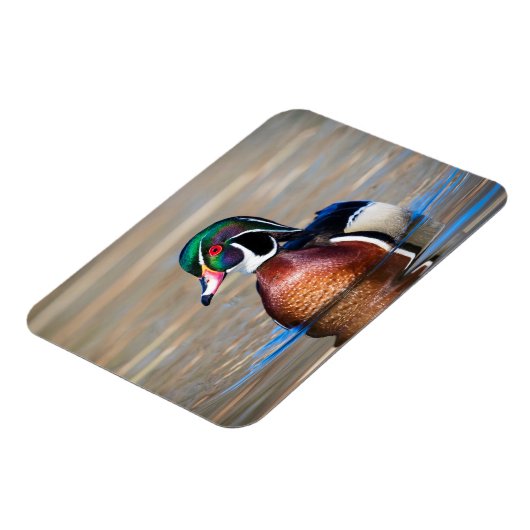 Hout Duck in een vijver Magneet (Linkerzijde)