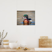 Hout Duck in een vijver Poster (Keuken)